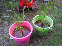 20140616_174528