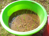 20140510_084520