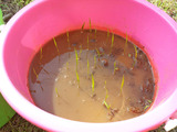 20140510_084525