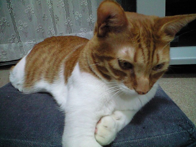 8/22