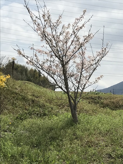 032701