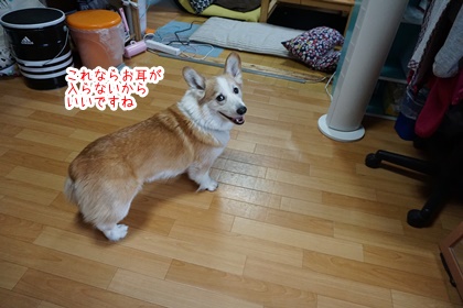 070904