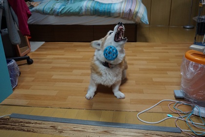 060502