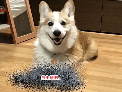 080402