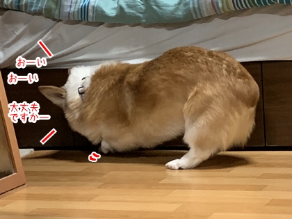 1005