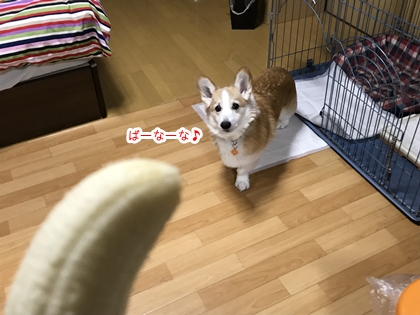 110103