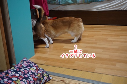 070405