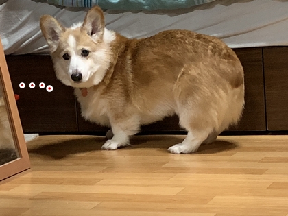 100501