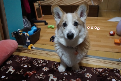 010704