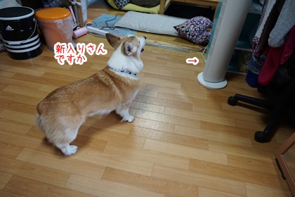 070901