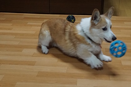 060504