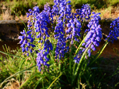 P1010138