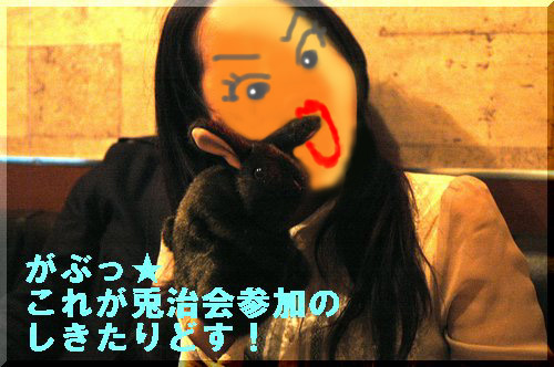 bda2d7d4.jpg