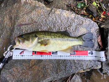 FullSizeRender