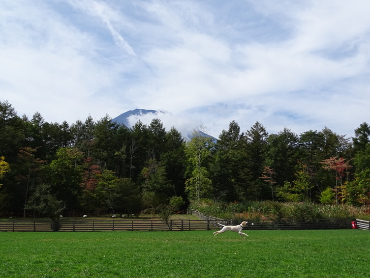 DSC00172