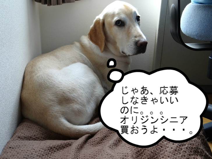 BlogPaint