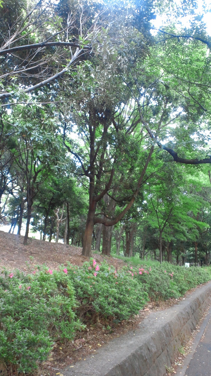 2013051317360000