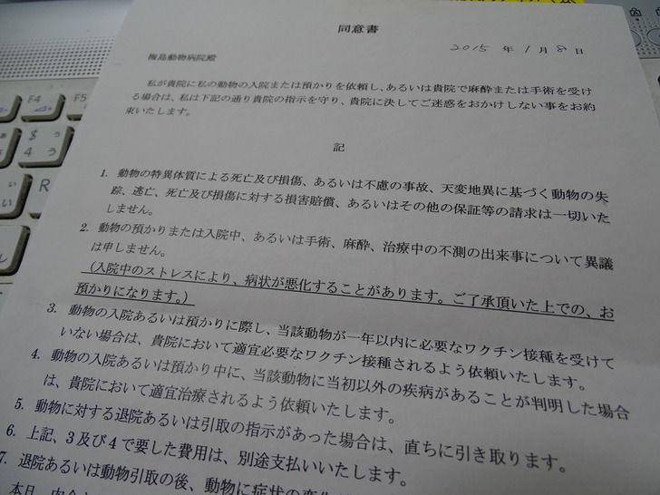 DSC00411