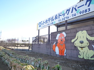 P1060901
