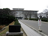 ed602e8c.jpg