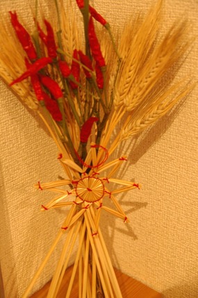 IMGP7557-1