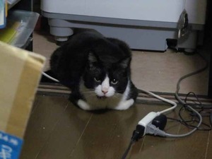なぁなぁ俺可愛い?