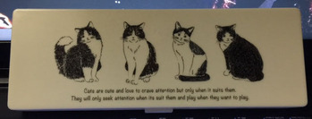 100均ショップの猫ペンケース
