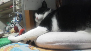 う〜んむにゃむにゃ