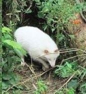タイトルなし