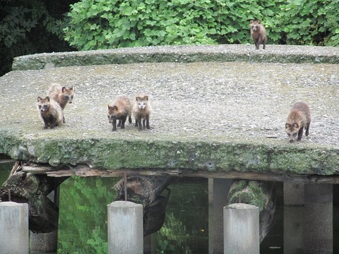 いたすけ古墳