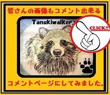 コメントコミュニケーション