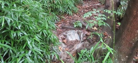 たんちゃん山のお参り