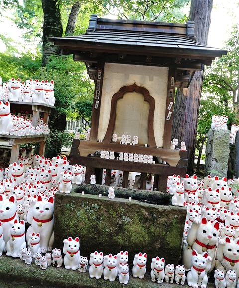豪徳寺1
