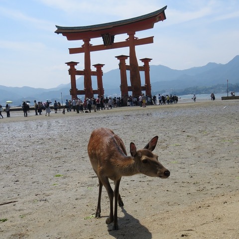 182宮島3