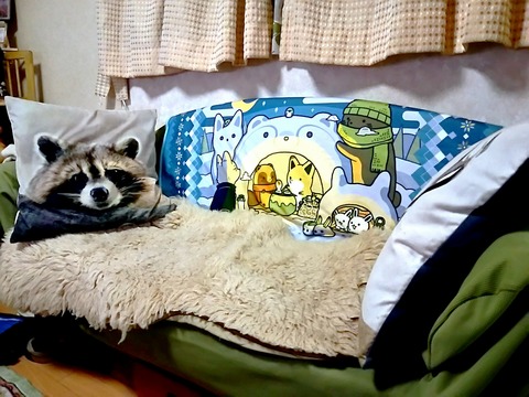 タヌキキツネラストワン賞
