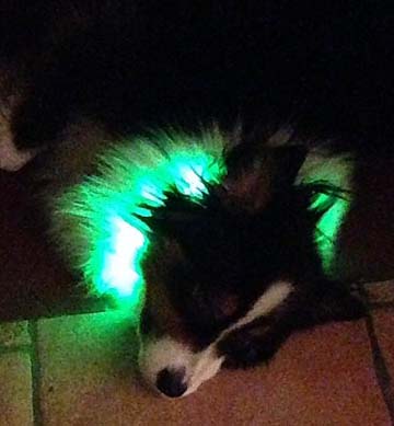 luka led