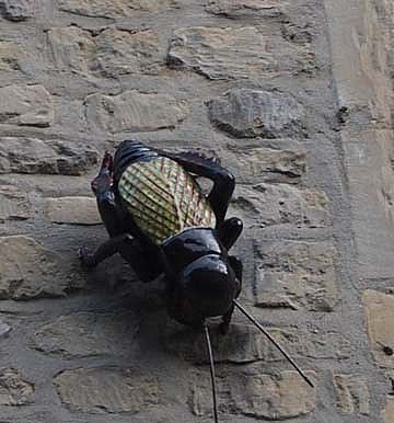 caen20
