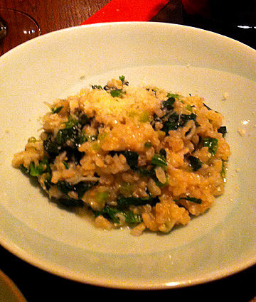 coccolo6