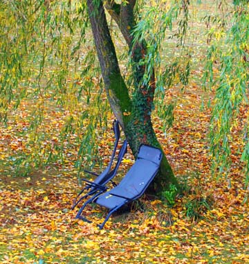 jardin2
