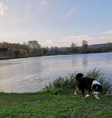 le boulou3