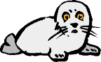 phoque-image-animee-0003
