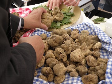 fete des truffes14