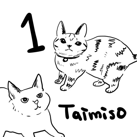taimiso1