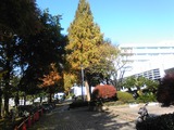 SH3C0282