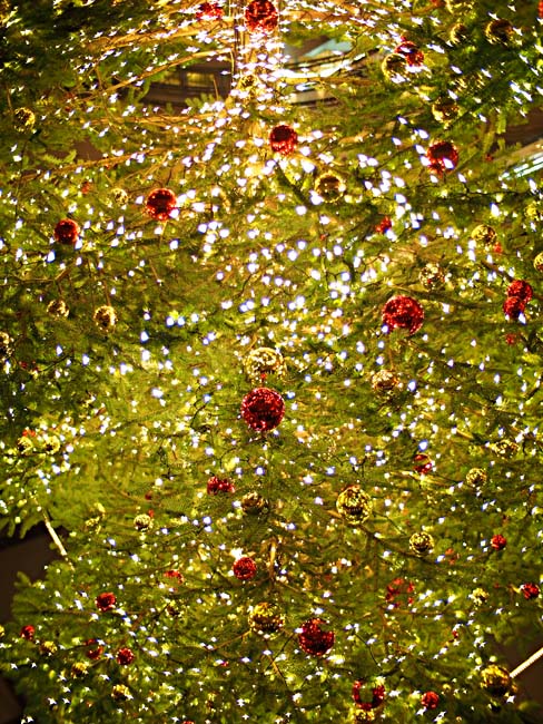 横浜ベイクォーター クリスマスイルミネーション2012-1/OM-D E-M5