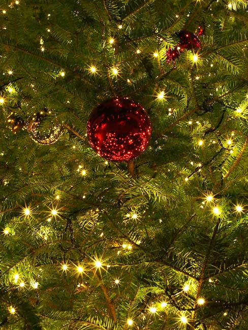 横浜ベイクォーター クリスマスイルミネーション201-22/OM-D E-M5