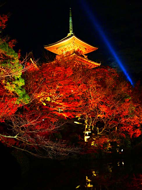 À¶¿å»û¤Î¥é¥¤¥È¥¢¥Ã¥×/OM-D