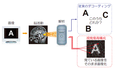 yumega3