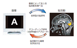 yumega2