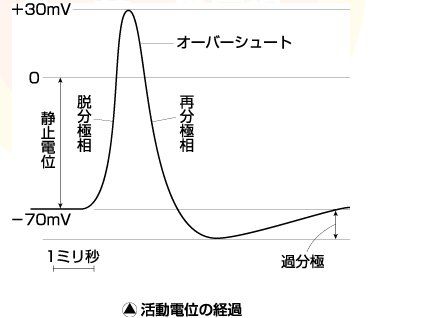 katudou2
